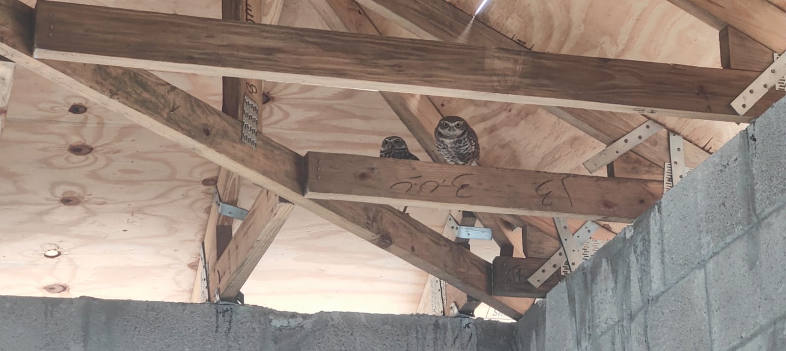 Eddy Pérez Residence 96