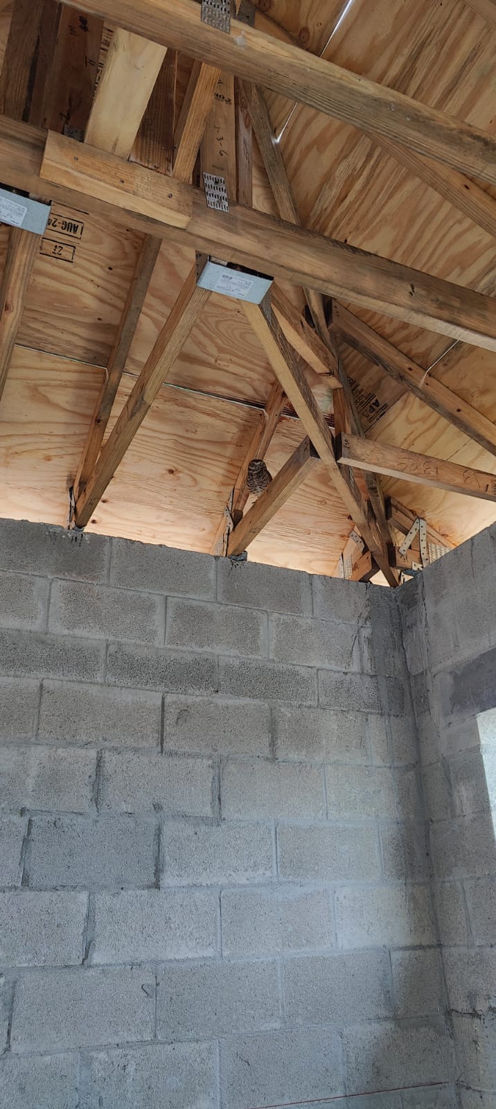 Eddy Pérez Residence 104