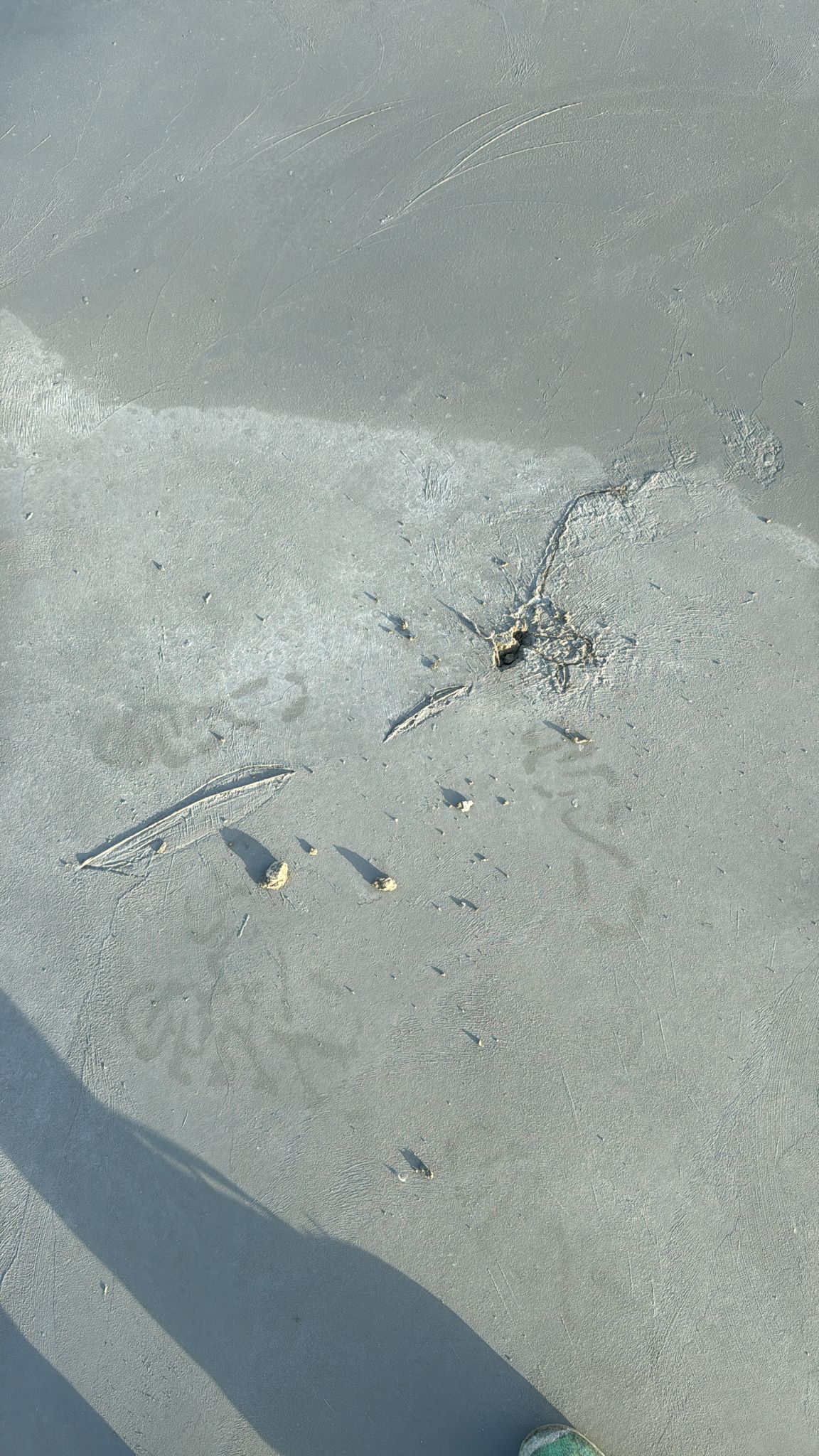 Eddy Pérez Residence 121